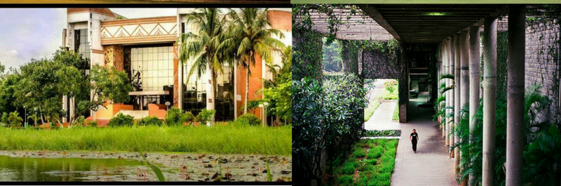 Why I Chose IIM Bangalore Over IIM Calcutta