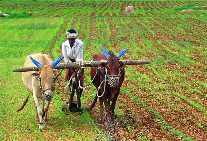 Budget 2019 for farmers