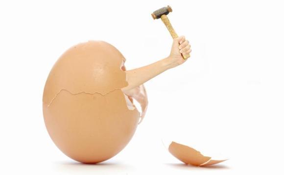 Break The Shell Before You Come Out Of The Egg | Life At An IIM From The Lens Of An Arts Graduate