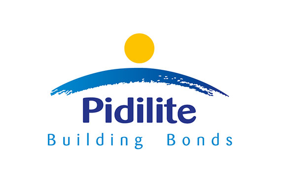 Summer Internship Experience At Pidilite - A Journey Against All Odds And My Learnings From It