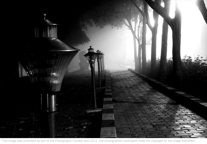 TAKING INDIA TO THE WORLD MY WAY