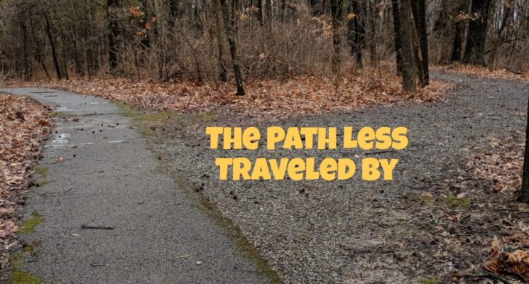 THE PATHLESS TRAVEL