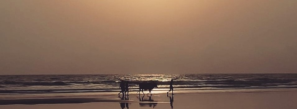 A walk down memory lane - Parul Rane, NMIMS Mumbai