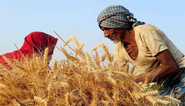 What The Government Is Missing In The Farmers' 2022 Plan