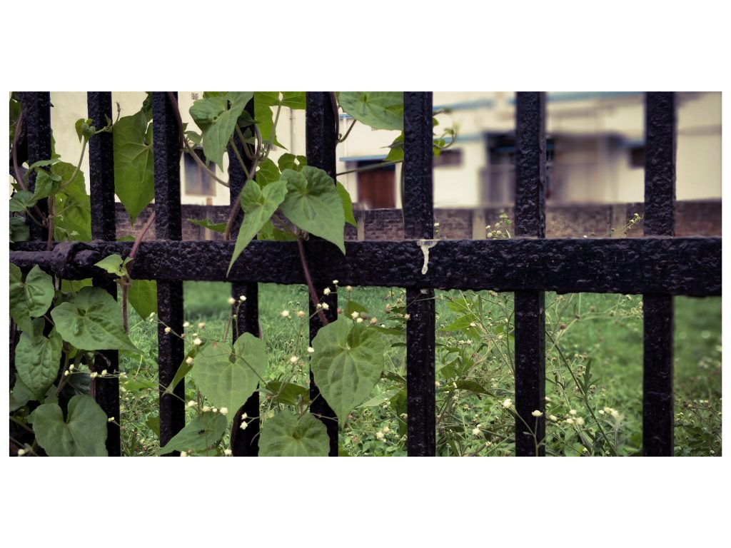 Love and Other Ideas (ABGLP- IIM Ranchi)