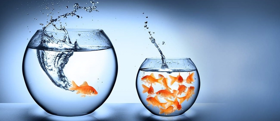 Growth, change &amp; Courage! - Parth Sheth - IMI New Delhi