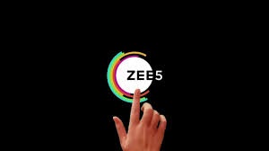 Summer Internship Experience At Zee TV