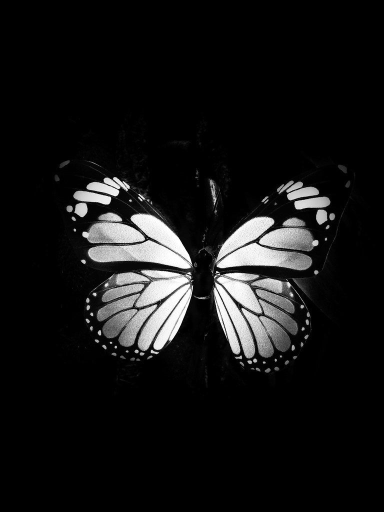 METAMORPHOSIS -SCMHRD