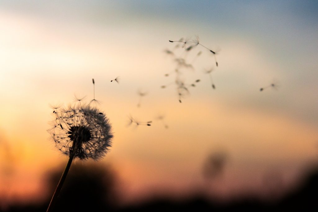 The Few Constants in Life