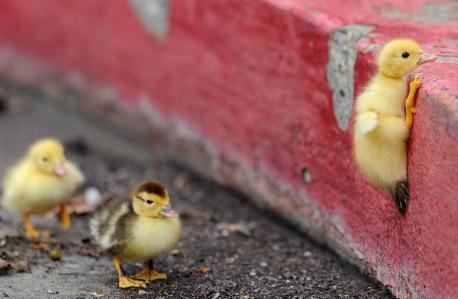 Do not Give up, Whatever it takes