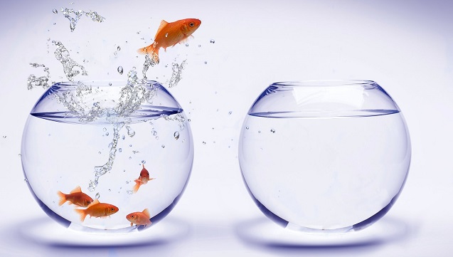 Changing Perspectives through Value Addition- MDI Gurgaon