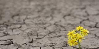 A Wonderful Dawn After A Night of Challenges