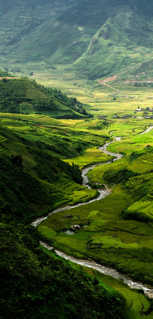 मेरा अनुभव  आईआईएम बोधगया के साथ