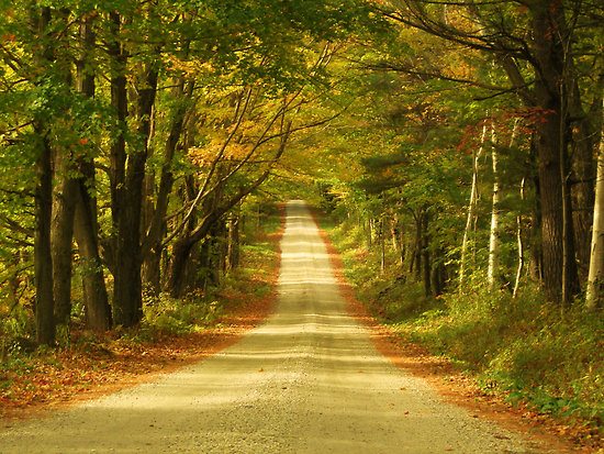 REVELLING IN THE NOSTALGIA WITH ABG-Krishna swaroop bhat,IMI NEW DELHI