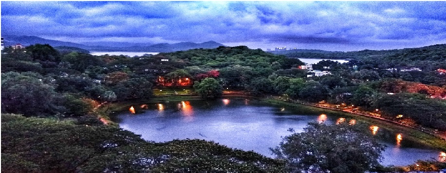 Dreams don’t come with rules!