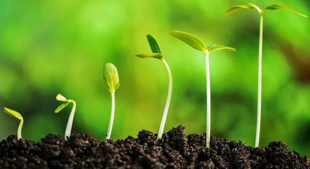 When big goes massive!- Monalisa Modi, XIMB