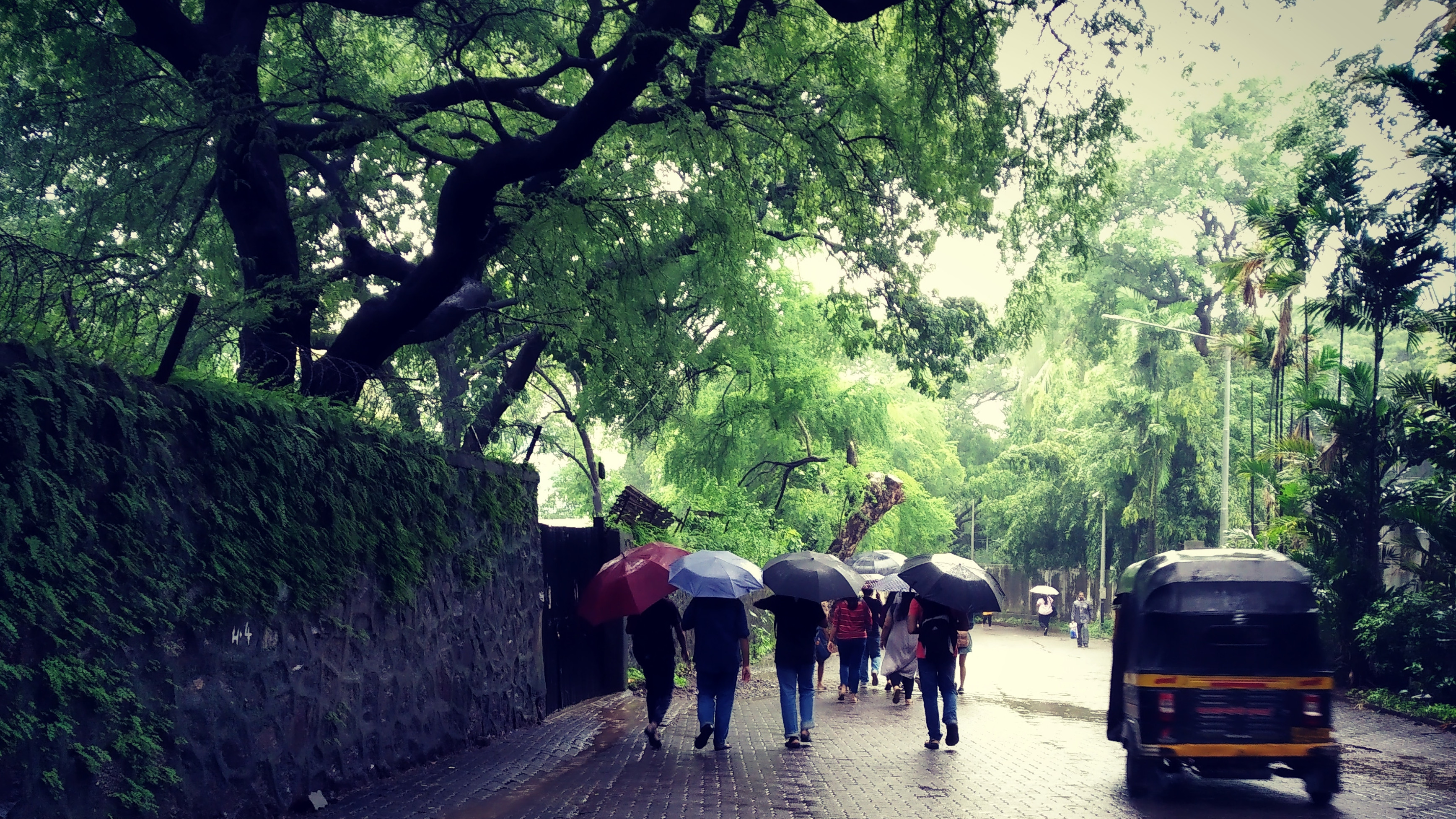 Life At TISS, Right As Rain