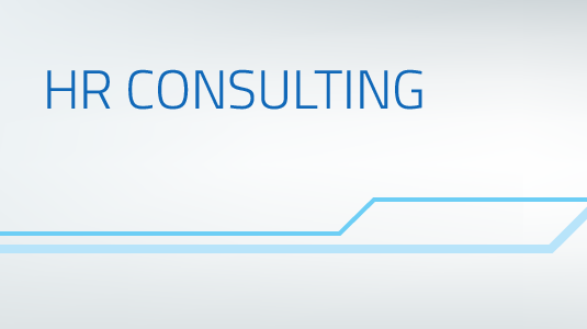 A Beginner's Guide For Pursuing A Career In HR Consulting