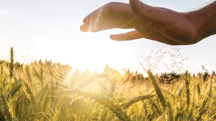 IIM L Interview Experience Series - ABM Interview Process