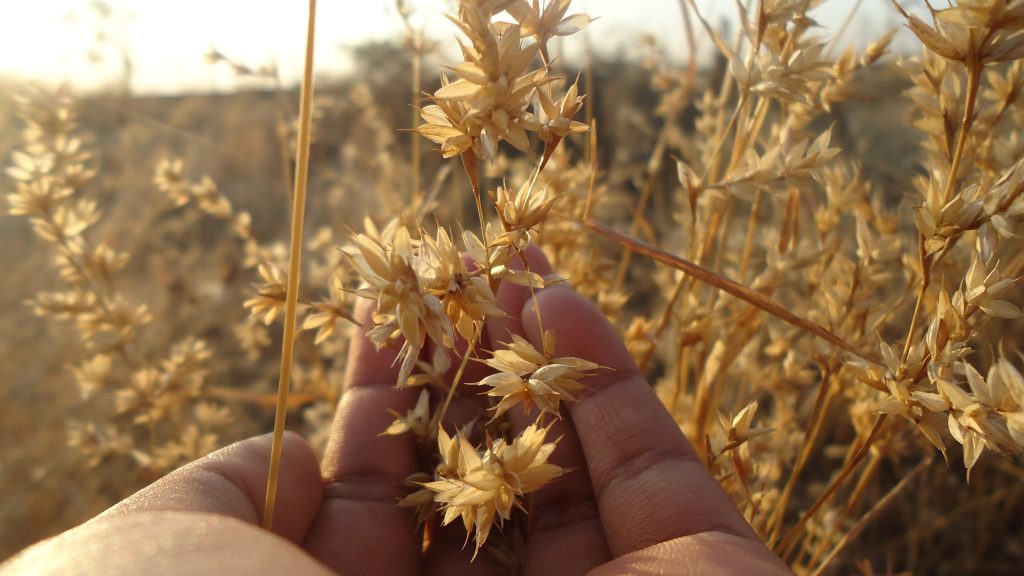 Things To Focus During This Quarantine