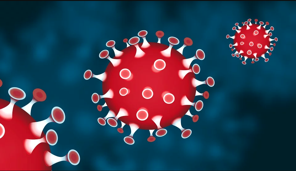 How Are MIT Sloan, LBS, CBS, Booth And HEC Paris Dealing With The Coronavirus Pandemic?