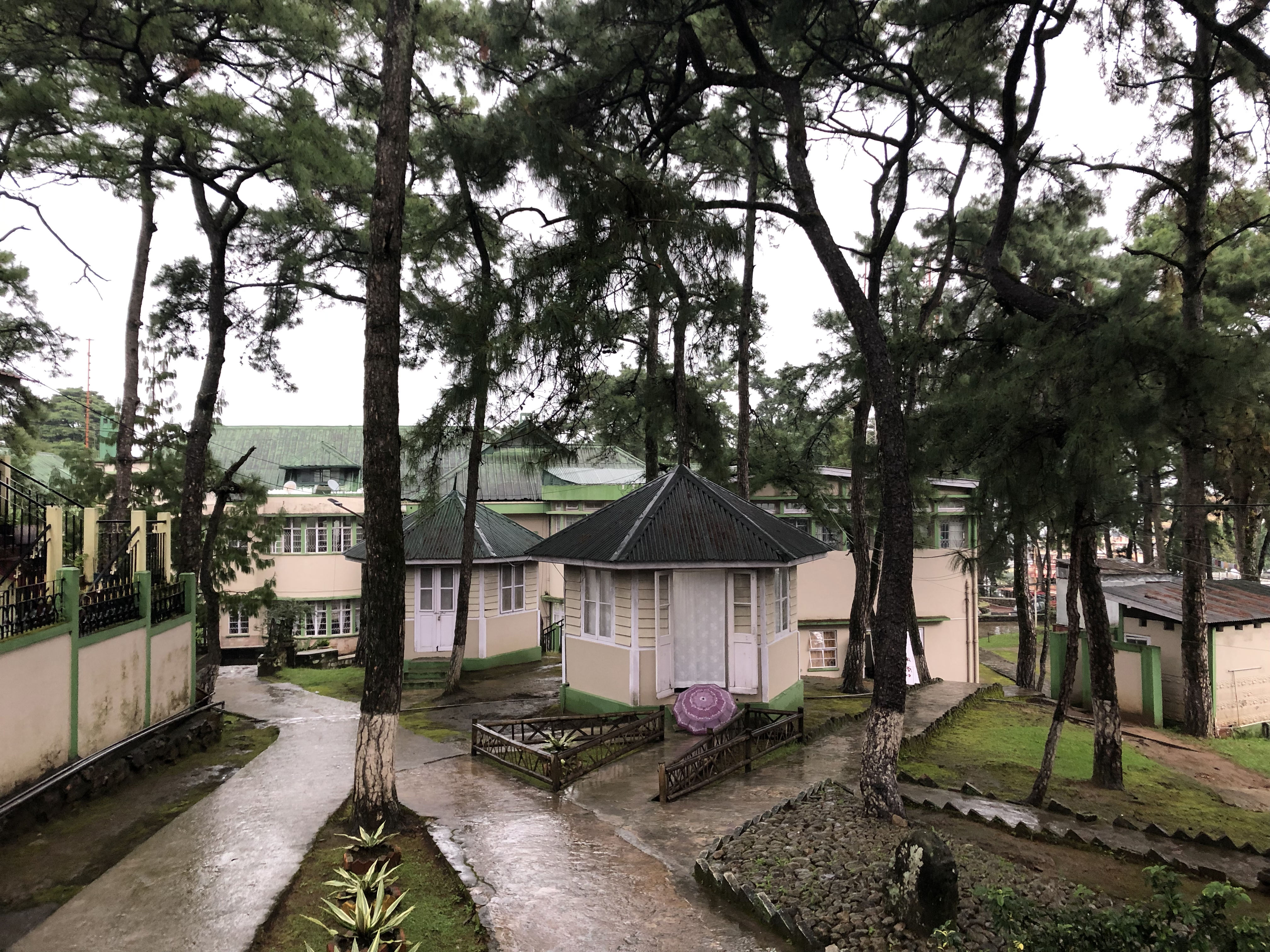 One Year In IIM Shillong | Ft. Pankaj Ranjan, IIM Shillong