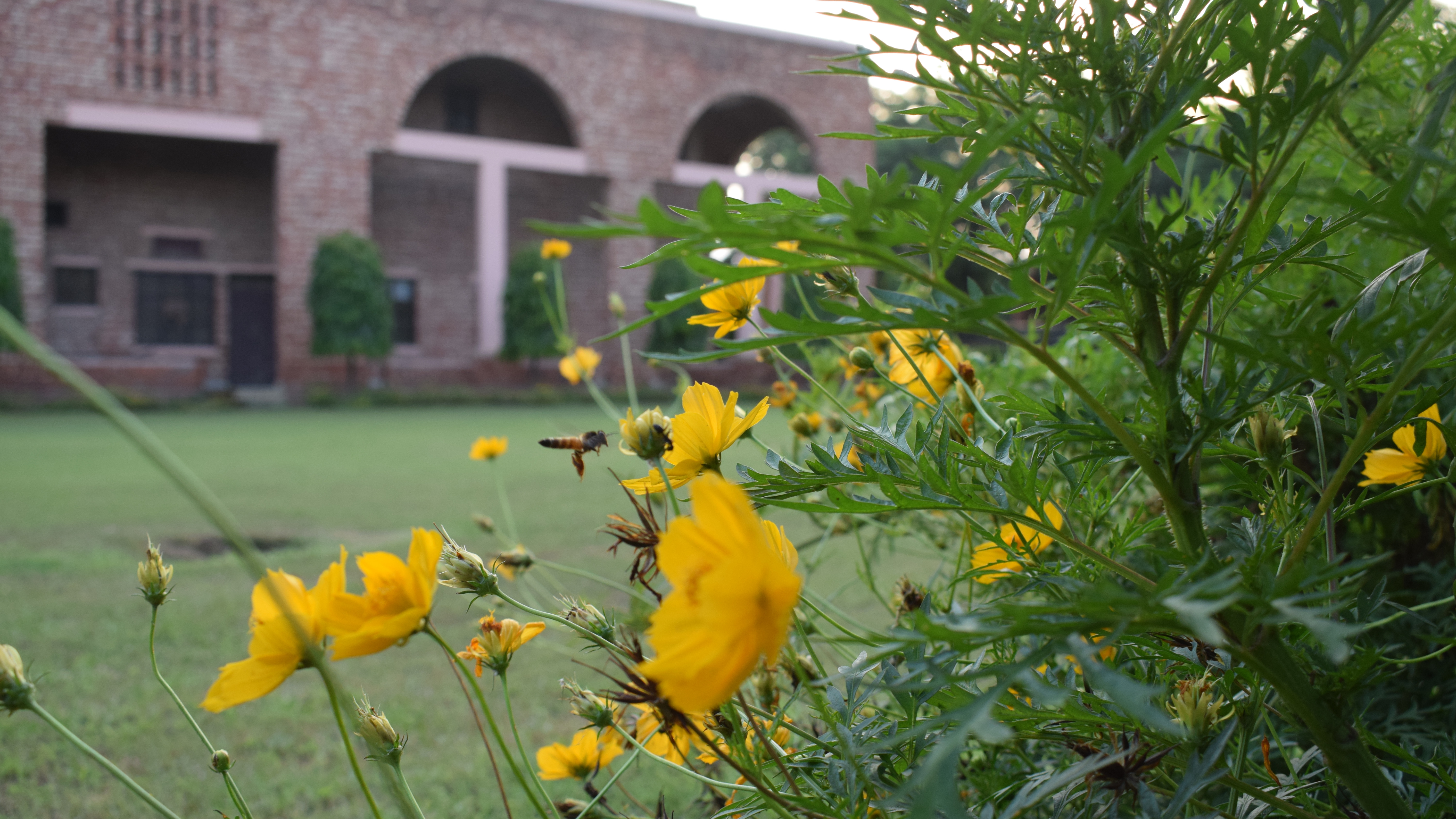 5 Learnings From Online MBA At MDI Gurgaon That Obed Daruwala Has To Share!
