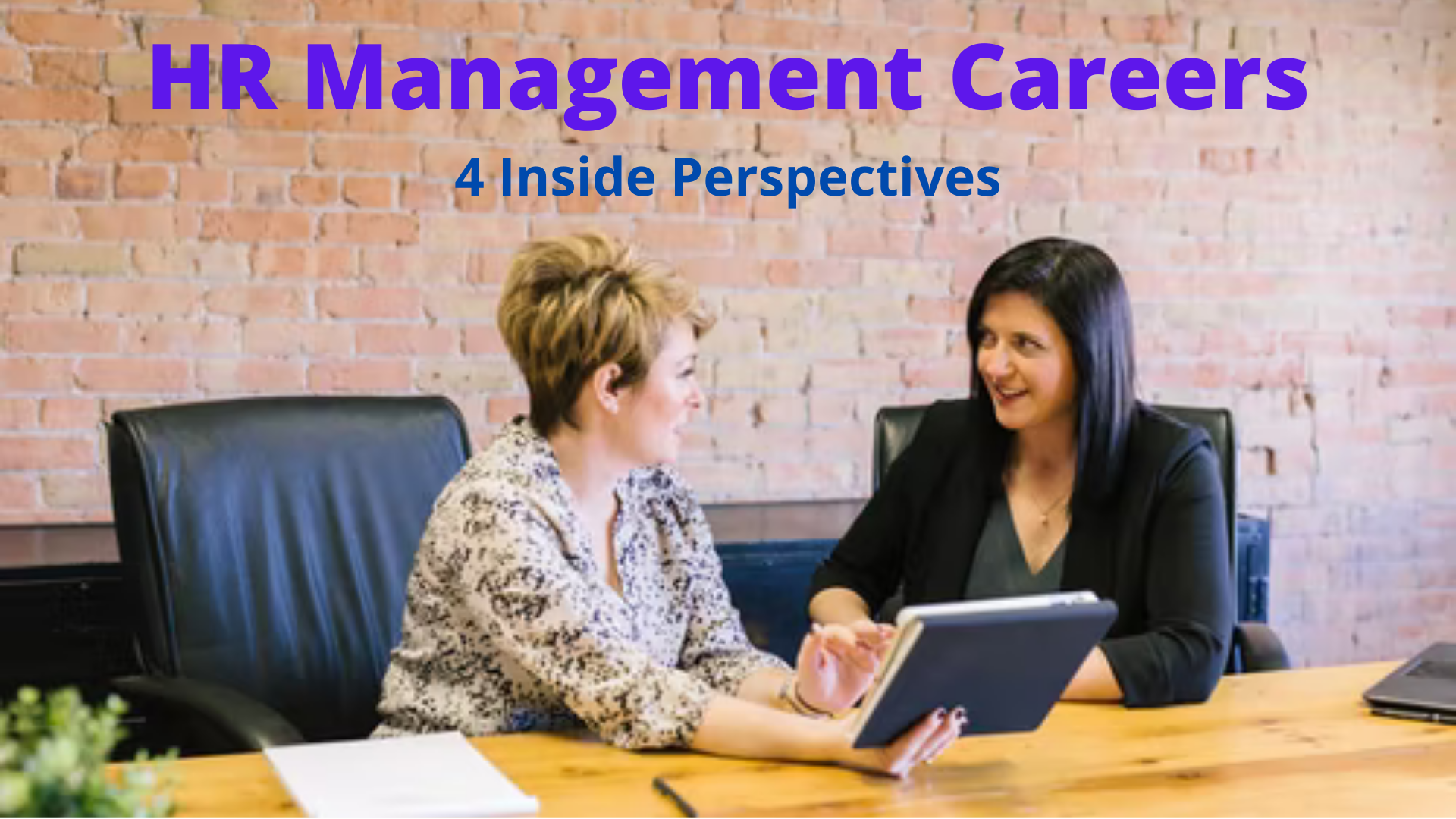 What's a Career in HR Management Like? 4 Inside Perspectives!